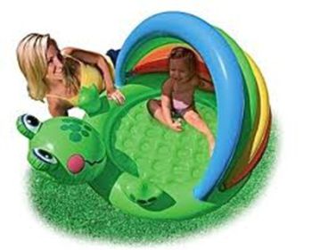 Bể hình chú ếch